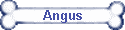 Angus