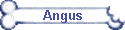 Angus
