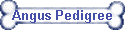 Angus Pedigree